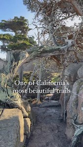 283K views · 60 reactions | Tag your hike buddy! 量@outdoorwiseliving takes us through Cypress Grove trail, Point Lobos State Natural Preserve. One of the two naturally growing stands of Monterey cypress trees remaining on Earth. A 2hr drive from SF & 5hr drive from LA! Who wants to check it out? #CaliforniaBucketList #California | San Francisco Bucket List | Facebook