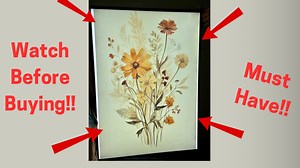 Watch Review - LED Movie Poster Frame on Amazon Live