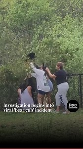 4.5K views · 39 reactions | A viral video has sparked an investigation in North Carolina, United States, after a group of people were spotted pulling two bear cubs out of a tree to pose with them for pictures. : abc7chicago : Tan Wee Guan : Envato #borneobulletin #world #NorthCarolina #unitedstates #Investigation #begins #into #viral #bear #cub #incident #pose #pictures #video | Borneo Bulletin | Facebook