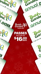 Give the gift of Wonder and Wild this year with a Busch Gardens Annual Pass! Enjoy free parking, free guest tickets, free quick queues and so much more! Get yours today during our Holiday Sale, as low as $13.25/mo. Hurry, offer ends soon! | Busch Gardens Tampa Bay