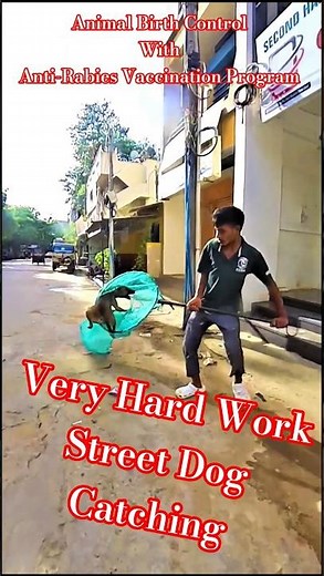 Technologia Dog Catch Style #dogwithpublicsafety #ytshorts #dog #shortsfeed #pets