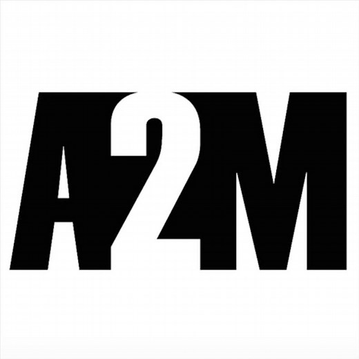 I Got Bitches - A2M: Song Lyrics, Music Videos & Concerts