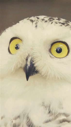 When you realize it's 2025 | Howstuffworks