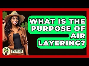What Is The Purpose Of Air Layering? - The Plant Enthusiast