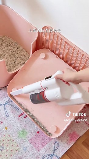 Tips for Cleaning Your Cat's Living Space