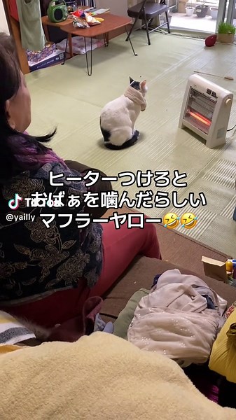 #muffler #寒い #harry #japan #ハゲ #在宅ワーク