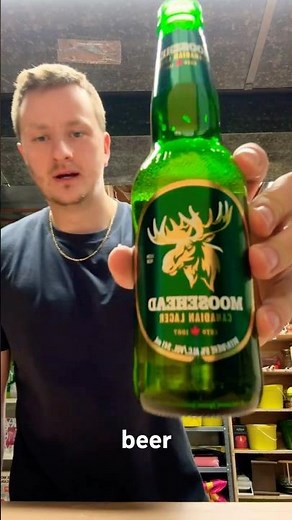 Moosehead Canadian Lager Beer Review 🇨🇦