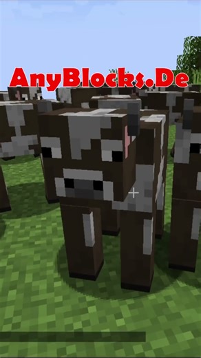 The Trend in Minecraft auf AnyBlocks.De | #minecraft #cute #letitbe #minecraftserver #love #animals