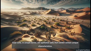 Clue cells in biology