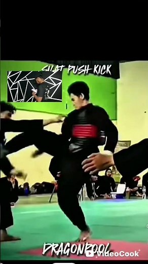 Silat Push Kick Practice | Martial Arts Short