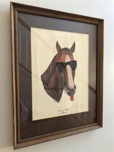 Silly Sunglasses Horse Altered Upcycled Thrift Store Original Oil Painting Art - Etsy