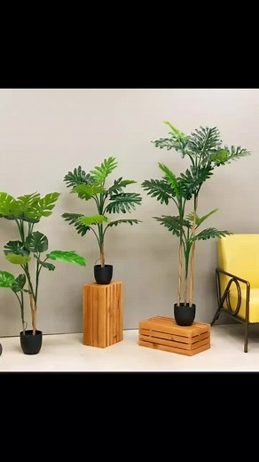 Lantana-flower على TikTok