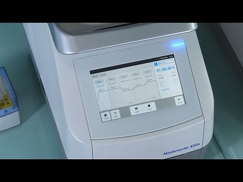 Migrate any PCR Program from Your Current Cycler to Mastercycler® X50