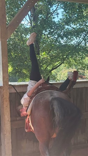 So u guys like horse vids🤔