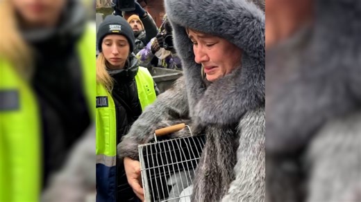 Emotional Reunion As Rescuers Save Family Pets After Kyiv Hit By Russian Air Strikes