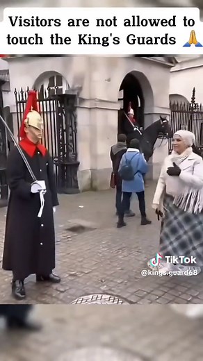 Visitors are not allowed to touch the King's Guards 🙏 #guard #kingguard #horse #respect #foryou #fyp #military