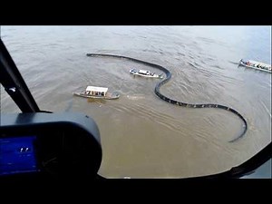 20 of the world's biggest creatures! Amazing footage captured on camera!