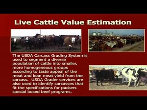 Lecture 18 part 1- Yield and Quality Grading of Live Cattle