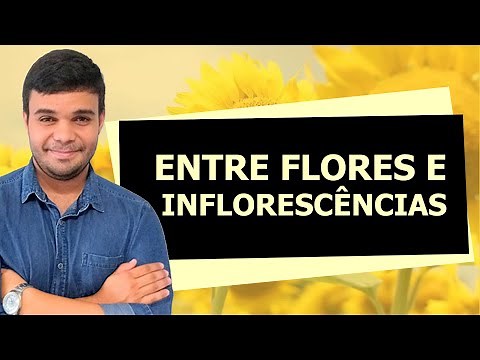 2º ano - Aula 21 - Entre flores e inflorescências