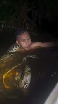 飼うの？食べるの？売れんの？捕まえてどうすんの？Python Capture