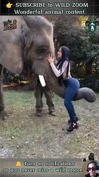 19 UNSEEN Animal Moments You MUST See! 👀⚡ WILD ZOOM #animals #animalclips #wildlife