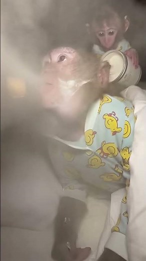 🤣Mom turned into a Fog Machine! 💨🌬️ Don't sleep with mouth OPEN! 😴 #Shorts