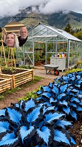 Vibrant Blue Blooms for All Seasons #garden #gardening #flowers #blueflowers #beautiful | Blue Chrome Inc