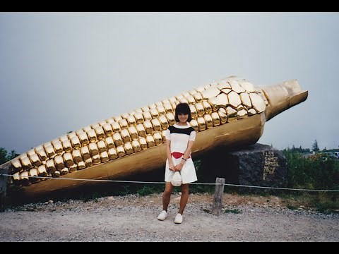 シュガーベイブーウィンディ・レディ1976ライブ