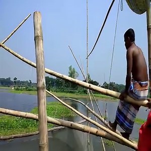 786K views · 4.2K reactions | Amazing Lift Net Fishing | Fishing & Village Tradition | Facebook