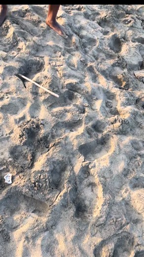 Creative Leg Raise Challenge in Couples Relationship