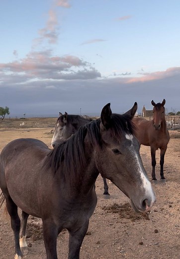 Imce (@imce.k)’s videos with BLUE - Billie Eilish