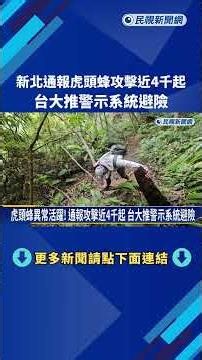 Nearly 4,000 Hornet Attacks Reported in New Taipei; NTU Launches Alert System to Prevent Injuries...