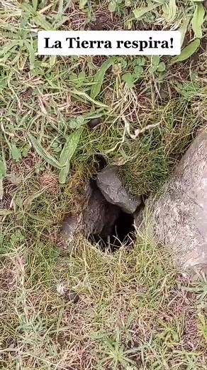 Sonidos naturales: La respiración de la Tierra