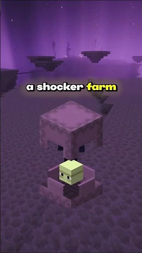 New best money makeing method after donut smp update