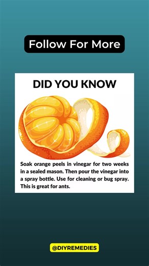 No waste living is the best living! Here’s a recipe for some homemade all purpose house cleaner! #nontoxichome #nontoxicliving #nontoxiccleaning #lowtoxliving #housecleaning #nowastelifestyle #ditchthechemicals #orangepeels #diycleaning