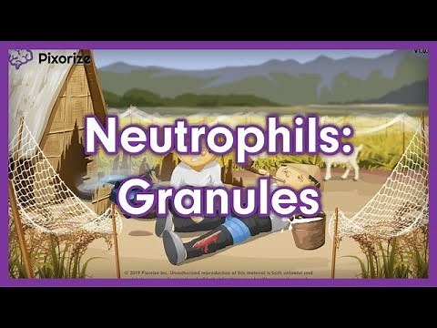 Neutrophil Granules Mnemonic for USMLE