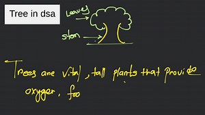 Tree in dsa... | Filo