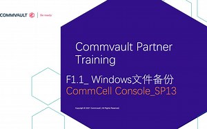 F1.1_Windows文件备份_CommCell Console_SP13