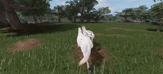 Exploring the Lives of Horses in Detail