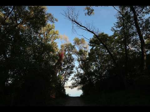 Halage Automne (Diaporama Horizontal 287/480)