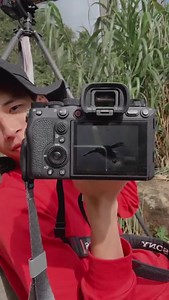 31K views · 1.2K reactions | สำหรับคนนอนดึก มาฟังนักส่องนกเม้าท์มอยช่วงเฝ้ารอกดชัทเต้อร์ครับ #เขาใหญ่ครบรอบ60ปี | Act Chokchai's Music Room | Facebook