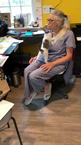 1.2M views · 90K reactions | Meet Barney! He is being sterilized August 13 th and will be ready for his furever home! Question is…are you ready for all this love?? | It's All About The Animals, Inc. | Facebook