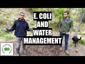 18 Day Compost With Animal Bedding // Pt. 8 VLOG