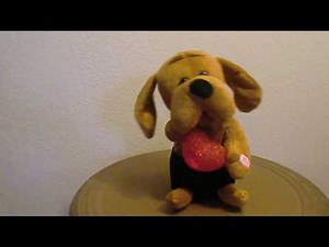 Valentine Dog Sings Have I Told You Lately That I Love You