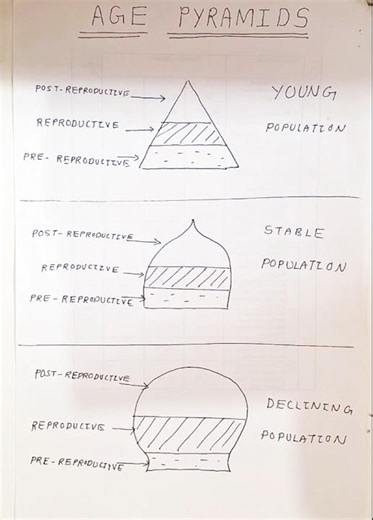 How to Draw an Age Pyramid