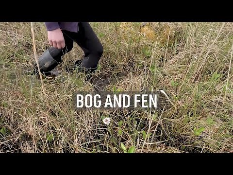 5 in Five, Bog and Fen