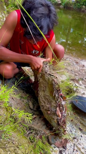 Wow😱😱 gold prospecting process | traditional gold extraction process