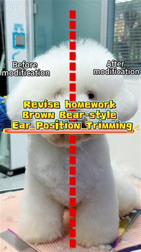 Yan Wu on Instagram: "no single standard in the small class of trimming Bichon Asian style Brown Bear ear position front, only the patience of teaching students in accordance with their aptitude.Finding problems, modifying and disassembling methods one by one, students not only learn pruning skills, but also understand observation and intention. The speed of progress is amazing. I hope it can help you who want to learn. If you want to learn and improve your skills, you can talk to me."