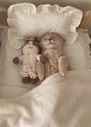 It's time to get up | Dr. Love