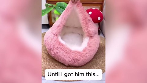 AIIONP Lapcatz Nest Bed, 2026 Upgraded Cat Beds for Indoor Cats, Portable Fluffy Pet Bed, Durable Covered Cat Bed for Indoor Use, Soft Puppy Bed for Pet Owners (Coffee, Large)